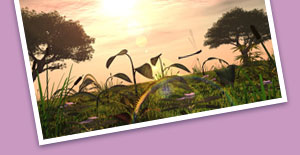 Prairie